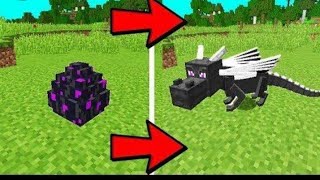 How to hatch ender dragon egg Minecraft pocket edition in all versions [upl. by Frager935]