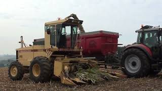 Hobbyist de Prol VS Landb Soenen  Westouter  New Holland 2205  MF 8110  MF 8220  MF 6485 [upl. by Kcirddahc]