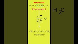 Inter molecular dehydration of alcohol  Preparation of Diethyl ether from ethyl alcohol  cbse [upl. by Sculley]