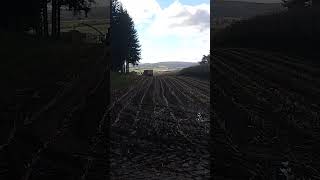 MaisErntemaschine  Zwischen Blankenheim und Gerolstein  Vulkaneifel Herbst 2024 [upl. by Ateval]