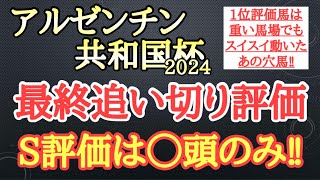 【アルゼンチン共和国杯2024】最終追い切り評価！個人的追い切り1位は重い馬場でもスイスイと走って好時計を出したあの馬！ [upl. by Nitsirhc618]