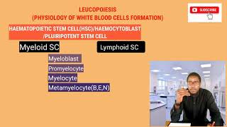 HAEMATOLOGY  LEUKOPOIESIS  WHITE BLOOD CELLS FORMATION [upl. by Airbmat]