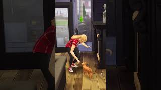 How To Build A Pet Washing Station In The Sims 4 [upl. by Gelasius]