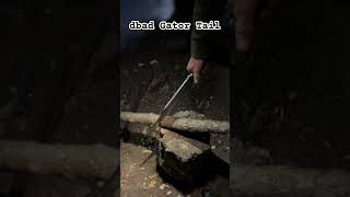 dbad Gator Tail VS hemlock tree bowieknife bushcraft backcountry camping [upl. by Parks]