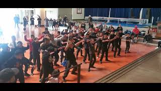 Waikato Maori Haka at Turangawaewae Marae [upl. by Krischer519]