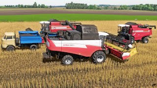 Farming Simulator 22  Карта Szpakowo 139 Уборка рапса Acros 595 2хПалессе GS12 IFA W50 МТЗ50 [upl. by Amaris503]