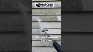 Exterior House Wash BearClaw Exteriors pressurewashing princetonnj bearclawexteriors powerwash [upl. by Ajin394]