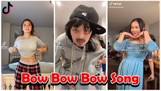 Cant Stop Jiggin  Bow Bow Bow Song  TIKTOK Compilation  Hd4president [upl. by Ahsocin3]