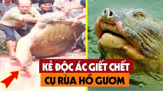 SỐC Lộ Diện Kẻ Xuống Tay Lấy Đi Mạng Sống Của Cụ Rùa Hồ Gươm  Người Dân Việt Nam Nghẹn Ngào [upl. by Yessej]