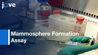 Mammosphere Formation Assay from Breast Cancer Tissues and Cell Lines  Protocol Preview [upl. by Phiona]