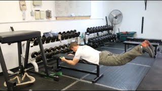 Bodyweight Reverse Hyperextension [upl. by Letch]