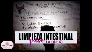 LIMPIEZA INTESTINAL  CLAVE  1a  Limpieza Intestinal para ser Sanos por Naturaleza  2 de 8 [upl. by Ranit]