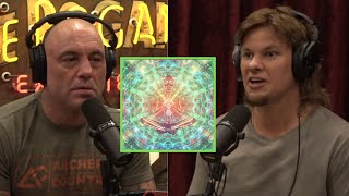 Theo Von Tells Joe About His Experience With Therapeutic Ayahuasca  JRE Uncut [upl. by Ttegdirb372]