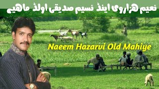 Naeem Hazarvi amp Naseem Sidique Old Hindko duet Mahiya [upl. by Dhaf767]