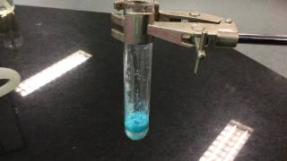 Adding Water to Anhydrous Copper II Sulfate [upl. by Grosz304]