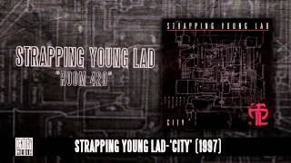 STRAPPING YOUNG LAD  Room 429 Album Track [upl. by Powe]