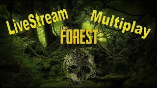 THE FOREST Multiplayer Survival XIV Lets Play The Forest der neue moderne Bogen [upl. by Dianuj]