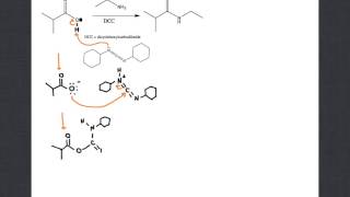 mechanism of amide formation with DCC [upl. by Natlus]