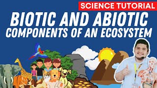 BIOTIC AND ABIOTIC COMPONENTS OF AN ECOSYSTEM  SCIENCE 7 QUARTER 2 [upl. by Latham102]