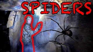 ARACHNOPHOBIA ENGAGED  CAVE OVERRUN WITH SPIDERS [upl. by Ahsiloc]