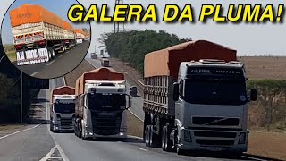 GALERA QUALIFICADA NO PUXE DA PLUMA [upl. by Dael244]