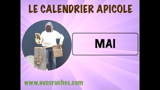 Calendrier Apicole  MAI [upl. by Cherian]