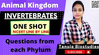 Animal Kingdom  Invertebrates  One shot  Complete NCERT  Non Chordates  Class 11 Biology NEET [upl. by Pinette]