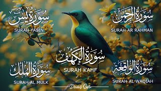 Surah Kahf  Surah Yaseen  Surah Rahman  Surah Waqiah  Surah Mulk  Beautiful Quran Recitation [upl. by Nyral]