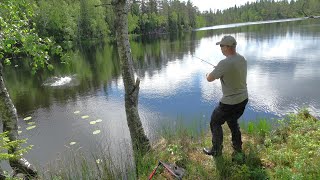 Effektivt markfiske Fiskemetoder aktivt fiske og kilosørret [upl. by Axel]