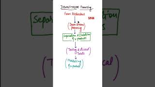 What is Downstream Processing Biotechnology downstream processing biology shorts [upl. by Gareth812]