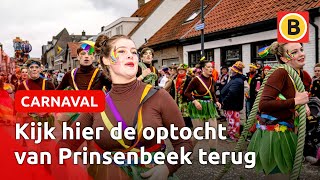 KIJK TERUG Optocht in Boemeldonck  Omroep Brabant [upl. by Nitsyrc57]