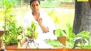 Ayurvedic Benefits of quotPathar Chattaquot in Kidney Stones Pain  Acharya Balkrishna [upl. by Anaeel]