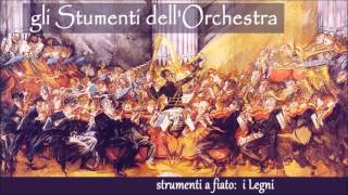 Gli strumenti dellorchestra I LEGNI 25 [upl. by Attiuqihc349]