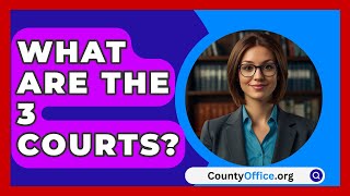 What Are The 3 Courts  CountyOfficeorg [upl. by Vinaya]