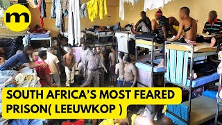 Leeuwkop Prison Horror Stories – South Africa’s Most Feared Prison [upl. by Honora]