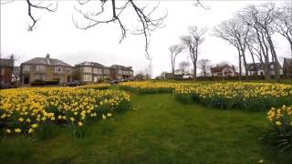 Holm Plantation Ardrossan Saltcoats Ayrshire Scotland [upl. by Suoinuj356]