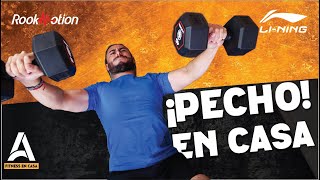 20 Minutos 🔥 Ejercicios para PECTORALES EN CASA Rutina con Mancuernas [upl. by Ghassan721]