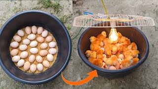 BEST Incubator For Chicken Eggs With 100 Efficiency  Chicken Hatchery  Chicken Egg Incubator [upl. by Anatole]