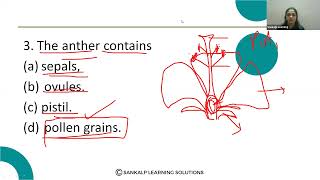 How do organisms reproduce  Science  Session 4 [upl. by Virgilio]