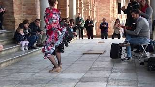 Flamenco Dance at Plaza de España in Sevilla Spain [upl. by Candace]