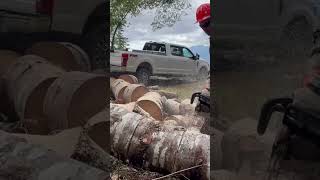 Yarding Firewood Logs w Ford F250 Super Duty [upl. by Ydnelg]