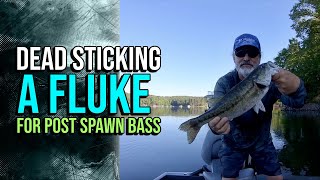 Dead Sticking A Fluke For Post Spawn Bass lakelanierfishing2024 bassfishing [upl. by Marleah]