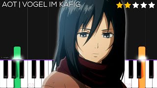 Attack on Titan OST  Vogel im Käfig  EASY Piano Tutorial [upl. by Vitia706]