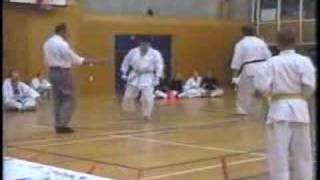 Andre Bertel Shotokan karate  Tai sabaki [upl. by Pacheco]