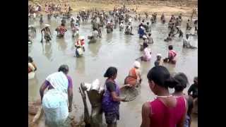 traditional fishing in india [upl. by Martie]