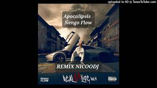 APOCALIPSIS ÑENGO FLOWREMIX NICOODJ [upl. by Yrome]