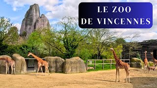 LE ZOO DE VINCENNES parc zoologique de Paris un incontournable de la région parisienne [upl. by Batsheva816]