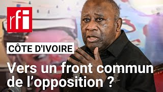 Côte dIvoire  quelles sont les chances de l’opposition face à Alassane Ouattara  • RFI [upl. by Reedy]