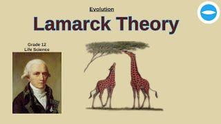 Evolution  Lamarck and Darwin Theory  Giraffe concept  Life Science grade 12 [upl. by Adierf]