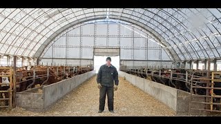 Why you need a fabric building for your cowcalf operations [upl. by Ylak106]